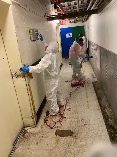 Restoration technician working in a Buffalo building