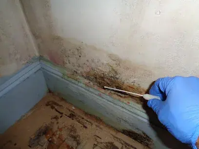 Checking a wall for hidden moisture