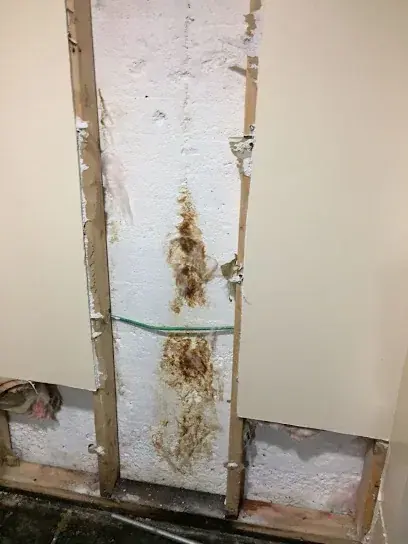 A burst pipe leaking behind a wall