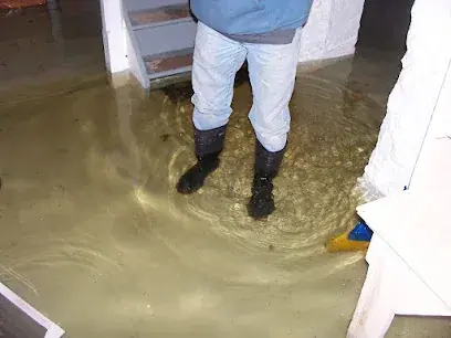 Storm and snowmelt flood water in a home